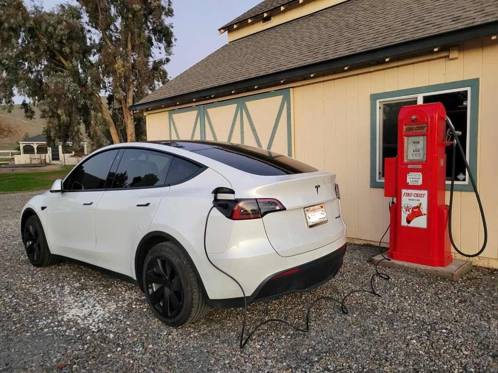 Tesla at my uncles house 1 - About Me Tesla at my uncles house 1